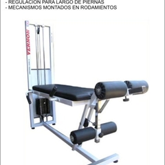 EXTENSION Y FLEXION DE RODILLAS